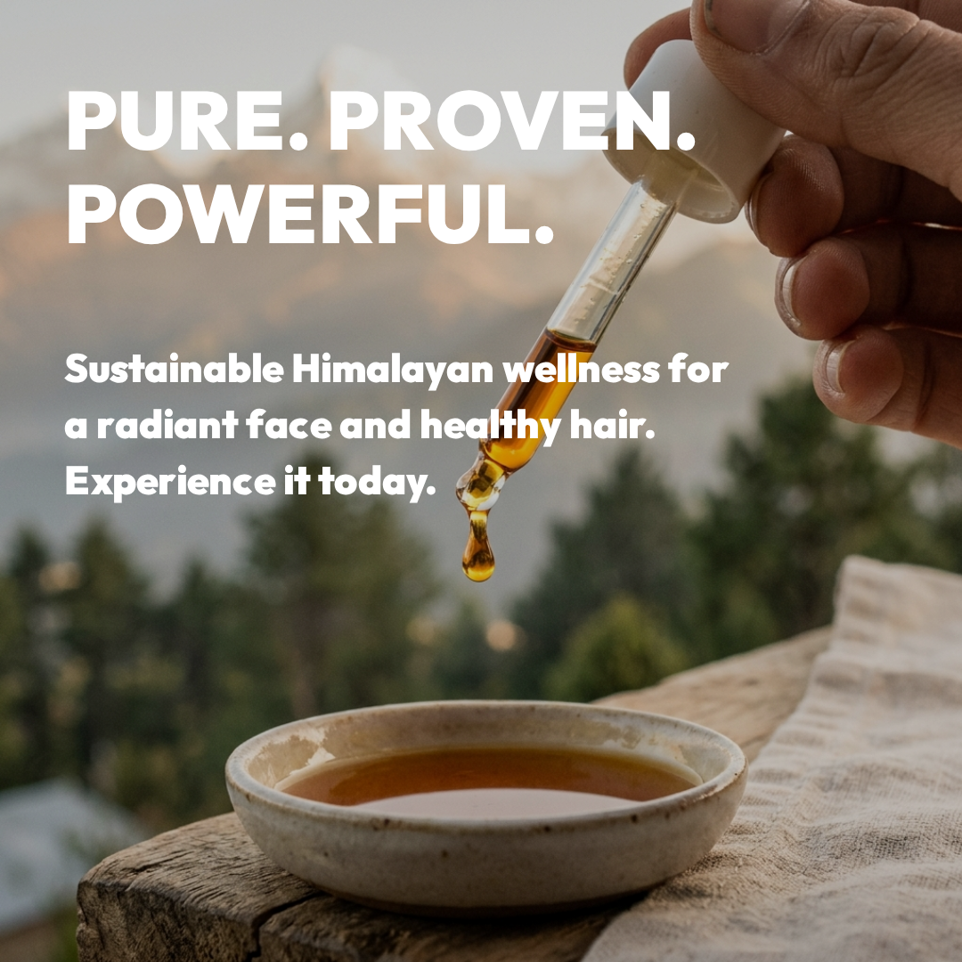 Himalayan Apricot Kernel Oil - Image 2
