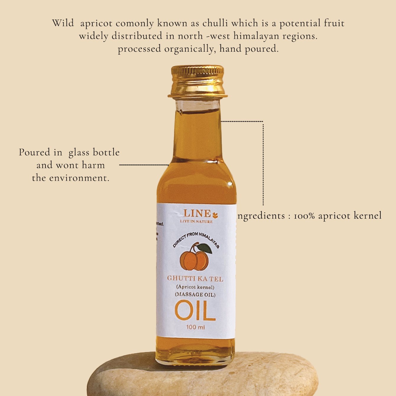 Himalayan Apricot Kernel Oil - Image 5