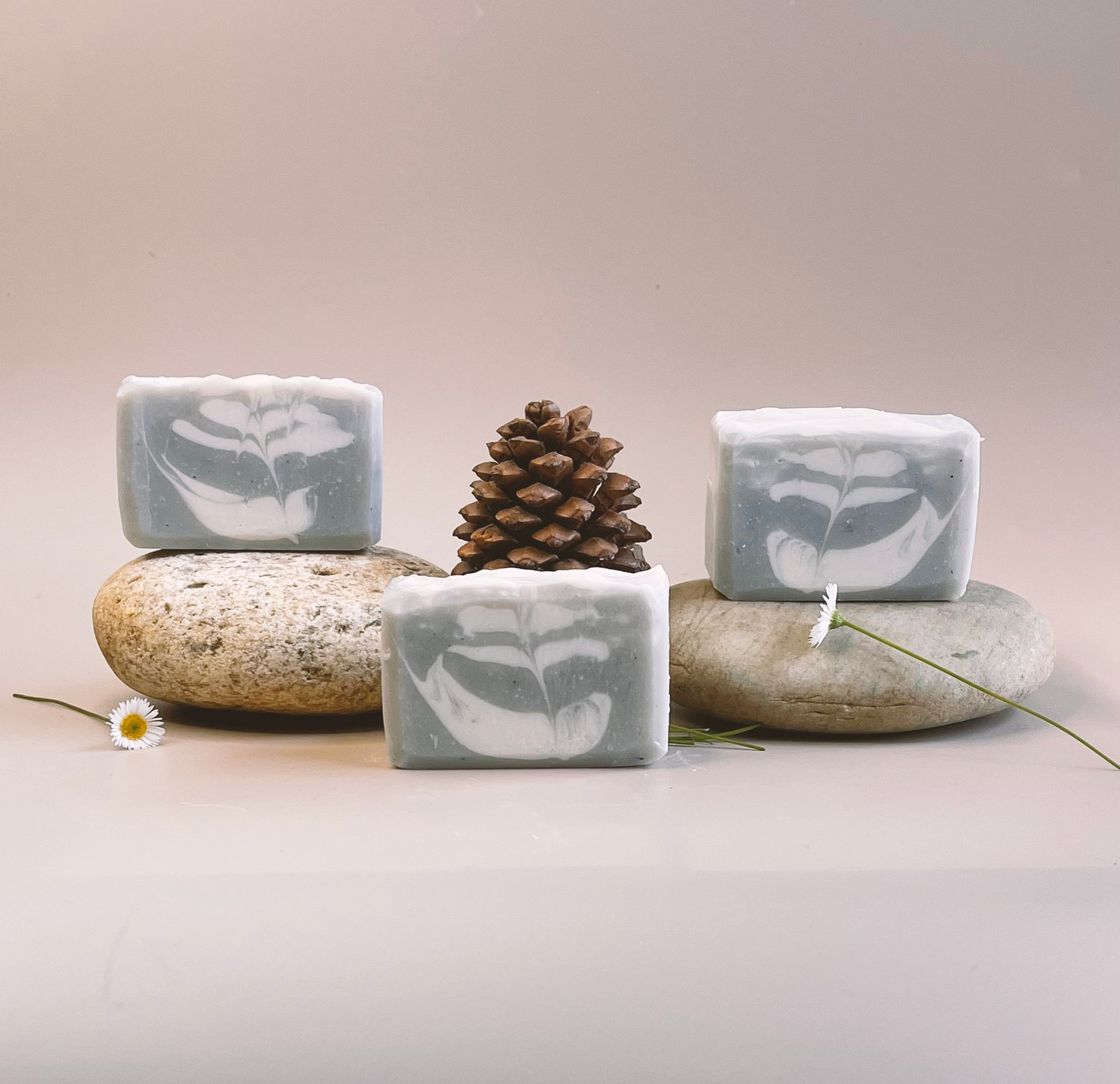 Cloud Fern - Image 4