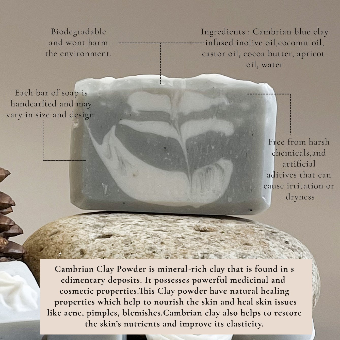 Cloud Fern - Image 6