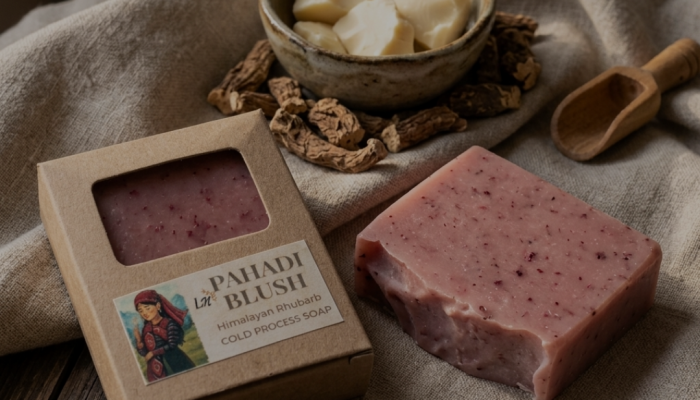 Pahdi Blush (Himalayan Rhubarb )