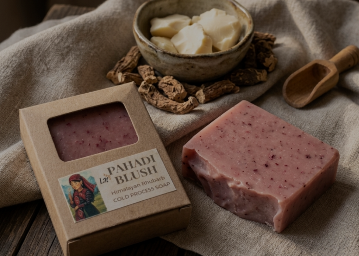 Pahdi Blush (Himalayan Rhubarb )